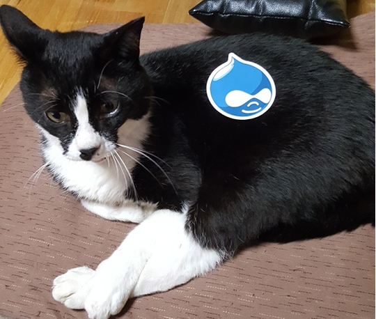 Drupal猫(黒)