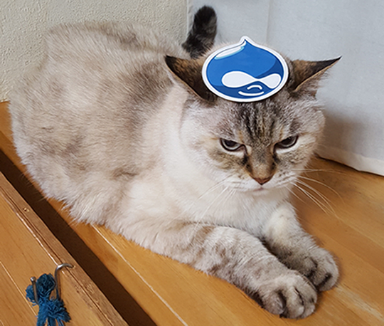 Drupal猫(白)
